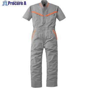 �J���T�C SS(�t��)���f�� ���ˌ^�����Ȃ���259-008�V���o�[�O���[-S 259-008-S 1�� ����136-9790 �y�����s�x���ρz