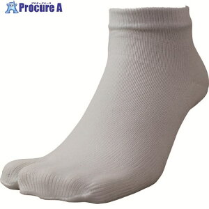 ���� #2300 �Ղ肾�]�[�w���t �� 13�`15cm 2300 1�� ����200-2477 �y�����s�x���ρz