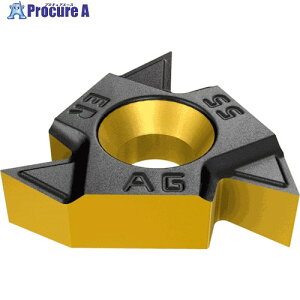 �C�X�J�� 55°�˂��؂�`�b�v ER/L-55° IC50M 22UEIRLU55IC50M 5�� ����339-2363 �y�����s�x���ρz ��O585