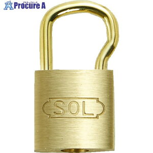 SOL �V�����_�[��25mm�c�����^�C�v(�p�b�N) 2500BP-25L (#2500 25MM�u���X�^�[) 1�� ��380-1624