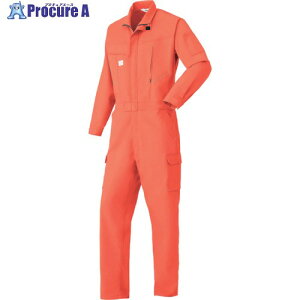 AUTO-BI AW(�H�~)���f�� �����Ȃ���2850-003�I�����W-5L 2850-003-5L 1�� ����347-9391 �y�����s�x���ρz