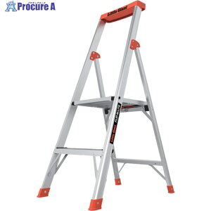 �n�Z�K�� ���g���W���C�A���g �t���b�v�G�k���C�g ��g�t����0.56M(10790) LG-15272 1�� ��651-7823