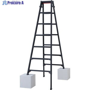 �n�Z�K�� �n�V�S���p�L�k�r��(�u���b�N���[�x��)RYZB-21a(10912) RYZB-21A 1�� ����678-9635