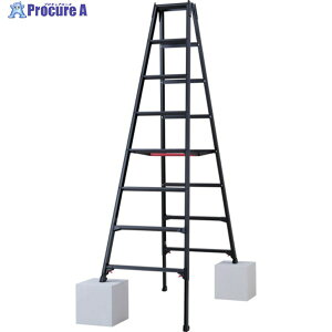�n�Z�K�� �L�k�r��(�u���b�N���[�x��)RYZB-24a(10913) RYZB-24A 1�� ����678-9638