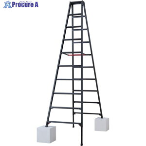 �n�Z�K�� �L�k�r��(�u���b�N���[�x��)RYZB-30a(10915) RYZB-30A 1�� ����678-9640