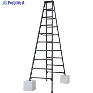 �n�Z�K�� �r���L�k����p�r�� �V���K�}�� �u���b�N 10�i(10765) RYRB-30 1�� ����686-9469