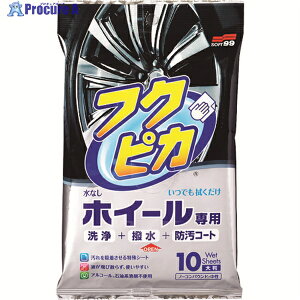 SOFT99 ԗpi tNsJ zC[p@V[g 00493 1 149-3487