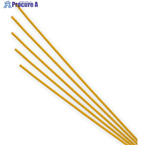 VW} A~  100{ 004870529 1 342-6591