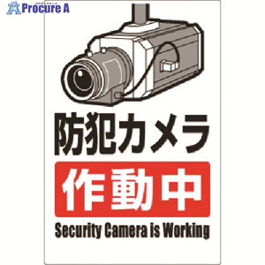 ���� ���S�W�� �h�ƃJ�����쓮��(�^�e�^) 9-A 1�� ��183-5332