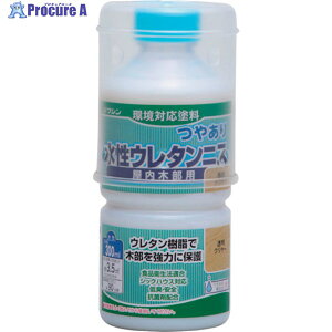 aMyCg E^jX N[ 300ml 941301 1{ 529-0518