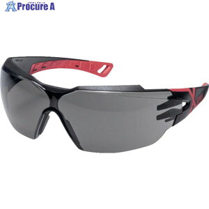 UVEX ԊOՒfی상Kl tBIX CX2 IR[ex3 9198173 PHEOS CX2 IR-EX 1 664-6426