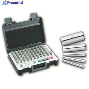 SK �|�s���Q�[�W�Z�b�g AA�V���[�Y �{-���� 10.00�`10.50mm(0.01mm�Ƃьv51�{) AA-10A 1S ��817-7549