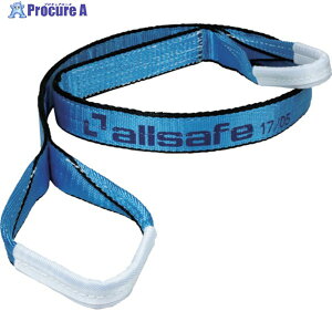 allsafe I[Z[tXOxg3E25x4m XJCu[ AS3E25-40 1{ 110-9174