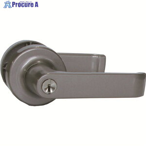 AGENT LP-200 ֗po[nh 2Xsh^ tp AGLP200000 1S 131-9509