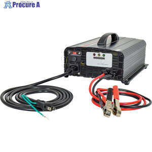 NICHIDO �S�����[�d�� �S�����o�b�e���[�`���[�W���[ 12V-48V ANB-1248V2 1�� ��252-2336