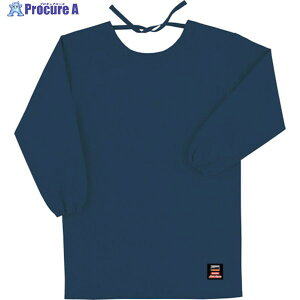 TRUSCO hB(Gv)O lCr[(}bNX_Ci) APB-200F NV 1 380-7981