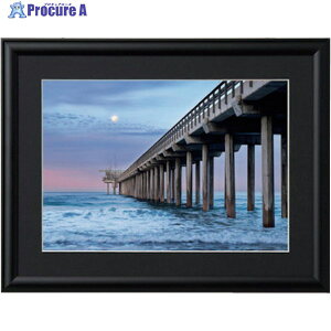 Kenko 1250289 A~z bNE}Ch A4 ubN ALM-A4-BK ALM-A4-BK 1 414-1094yϕsz