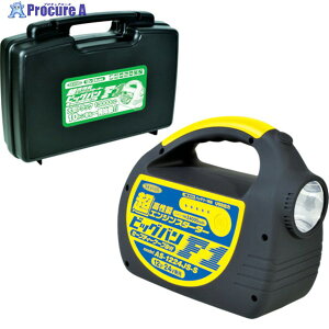 NICHIDO GWX^[^[ rbOoF1 [P[Xt AS-1224JS-S-BOX 1 820-2903