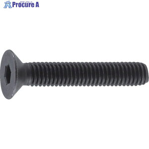 TRUSCO ZptM{g  SlW M10×25 18{ B73-1025 1pbN 163-8815