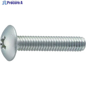 TRUSCO �g���X�����˂� �O���� �S�l�W M6×10 45�{�� B704-0610 (M6X10 45�C��) 1�p�b�N ��285-5950