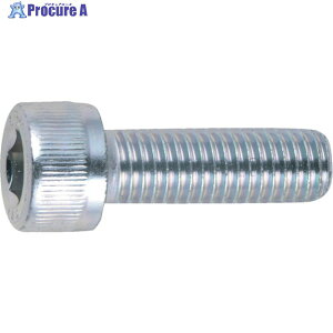 TRUSCO Zpt{g O SlW M10×15 7{ /Lbv{g(CAP) B730-1015 1pbN 300-3841