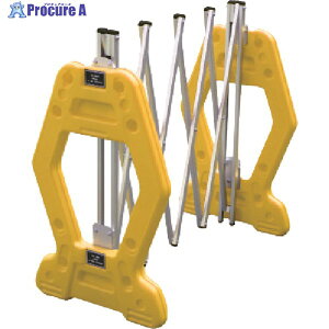 S pȈՃA~Q[g AZQ[g(˂Ȃ) 2M AZG-Y 1 436-7194