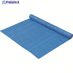IRIS 567512 �u���[�V�[�g���[�� 900mm×50m BSR0950 1�{ ��126-6623