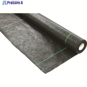 TRUSCO �h���V�[�g �ό�5�N 1M×20M BOS31020 1�� ��207-2048