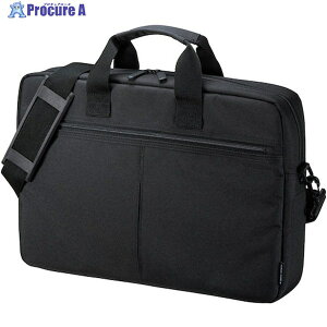 SANWA PCCi[obO(15.6^Ch) BAG-INA4LN2 1 246-3013