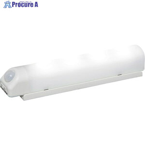 IRIS 522487 drLEDZT[Cg zCg EH[^Cv F BSL40WN-WV2 1 260-7534