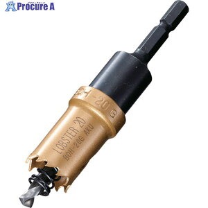 �G�r �o�C���^���z���\�[ 21mm �Z�p�� BOH21G 1�{ ��335-4555 ��YA513