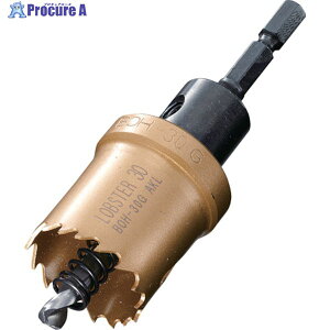 �G�r �o�C���^���z���\�[ 31mm �Z�p�� BOH31G 1�{ ��335-4652 ��YA513