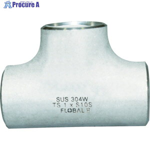 FLOBAL ���a�`�[�Y S10S 09100065 B-TS-10S-40A 1�� ��444-5775