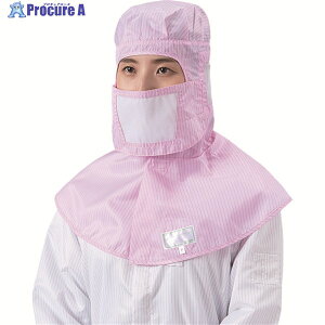 BLASTON }XN sN t[ (1Pk()10) BSC-30001-P-F 1 447-5755