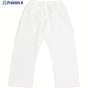 BLASTON pc--4L BSC-50001-W-4L 1 447-5798