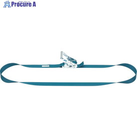 KITO ベルトラッシング ラチェットバックル式 25mm幅 破断荷重5kN 最大使用力1.25kN ラウンドタイプ 5m BLR005R-050 1台 ▼485-3636