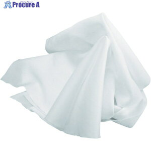 BLASTON X[p[Cp[(|GXe) (100) BSC-S200C9 1 497-2821