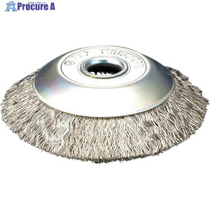 Y xxuV GA[Hp xx^ 100x16x67 SW-0.3 BH-1006 1 591-9565