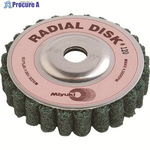 �~���L ���W�A���f�B�X�N 100X16 120# BR1002 5�� ��828-4532