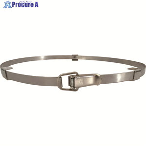 ANAVXe GAp|@py[ʃoh BAND-P 1 829-1118