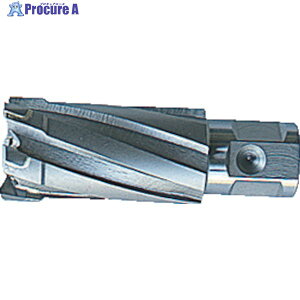 �匩 35SQ�N�����L�[�J�b�^�[ �n�a32.0mm CCSQ320 1�{ ��105-3094