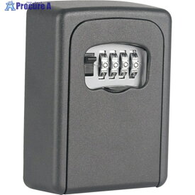 カール キーボックス(壁取り付けタイプ) ブラック CKB-S02-K 1個 ▼249-7003