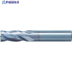 ���j�I���c�[�� ���d�G���h�~�� �X�N�G�A(�V���[�v�R�[�i�^�C�v)��8×�n��19 C-CES4080S (246-8023) 1�{ ��341-0307
