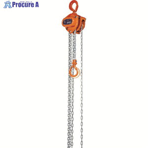 �ۈ� C21�^�`�F�[���u���b�N1t�E2.5m(C21-1) C21-01025 1�� ��366-8045