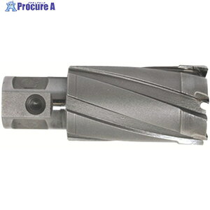 ��� ���C�g�{�[���[�p�֐n(���d�n)(51029) CCSQ320 1�� ��396-9185