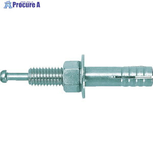 UNIKA [eBAJ[ C^Cv(ON[g) C-2019 C-2019 10{ 491-2268