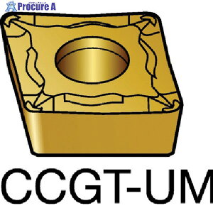 SANDVIK �R���^�[��107 ����p�|�W�`�b�v(130) 1125 CCGT 09 T3 01-UM 1125 (130) 10�� ��568-7934 ��KO521