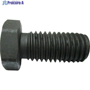 KANA �J�b�^�[�E�P�z���_�[ �K���`�F�[���J�b�^�[CK456A CKUH5W 1�� ��804-3031