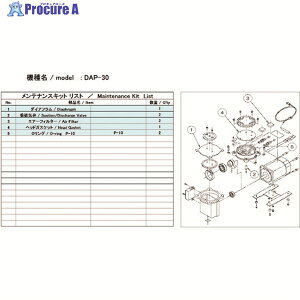 AobN ^|vpeiXLbh DAP-30p DAP-30 MAINTENANCEKIT 1 148-6874