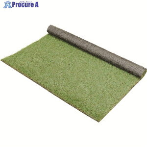 IRIS 535752�l�H�� 1000mm×1m CT-3011 1�� ��207-1547